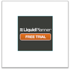 LiquidPlanner online project management software